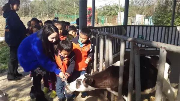 南京的卫岗,南京市卫岗历史