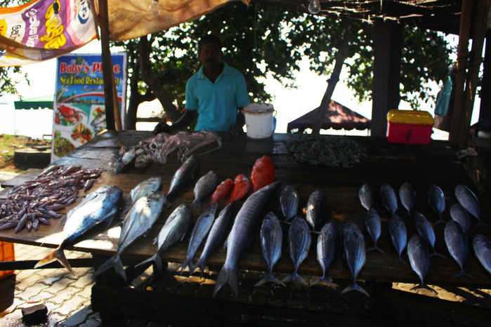 斯里兰卡旅游7天多少钱,去斯里兰卡最便宜方法