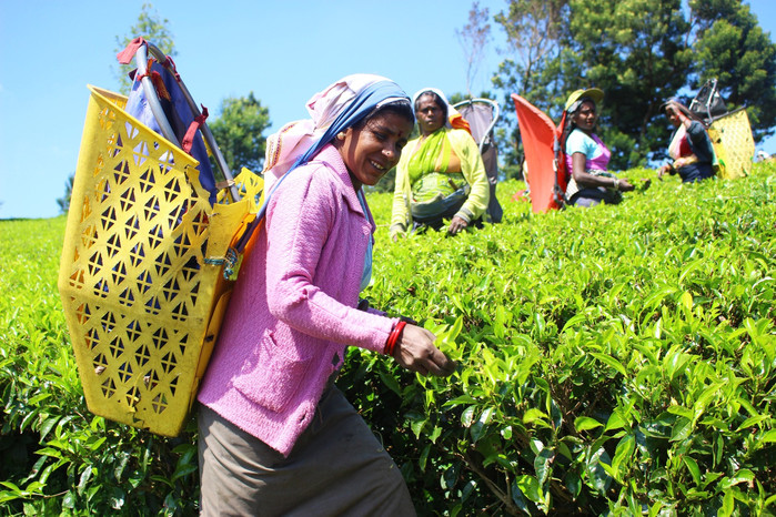 斯里兰卡旅游7天多少钱,去斯里兰卡最便宜方法