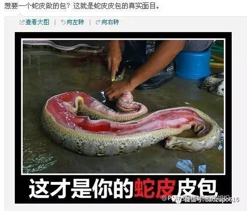 因为一件外套发生争执,杨幂又做了一件让网友生气的事