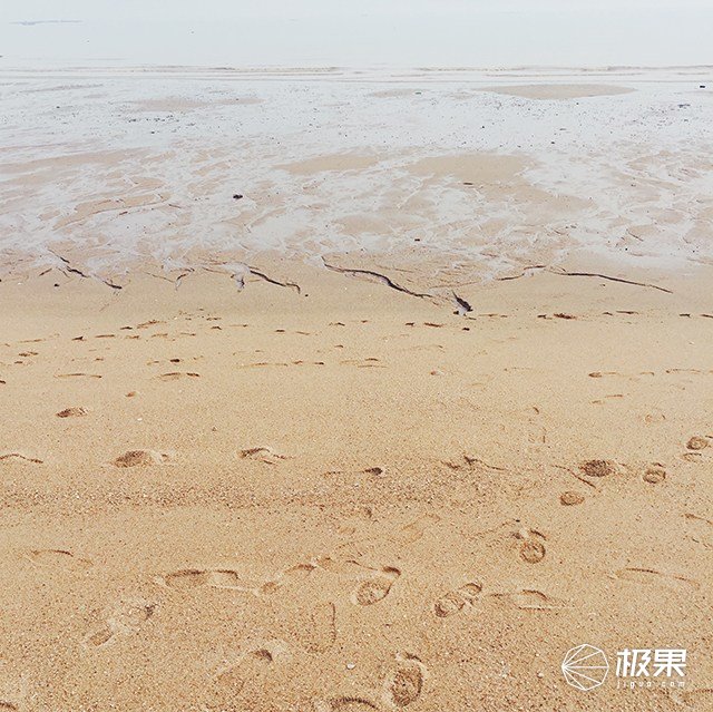 2018款华硕手机怎么样,黑科技颜值机