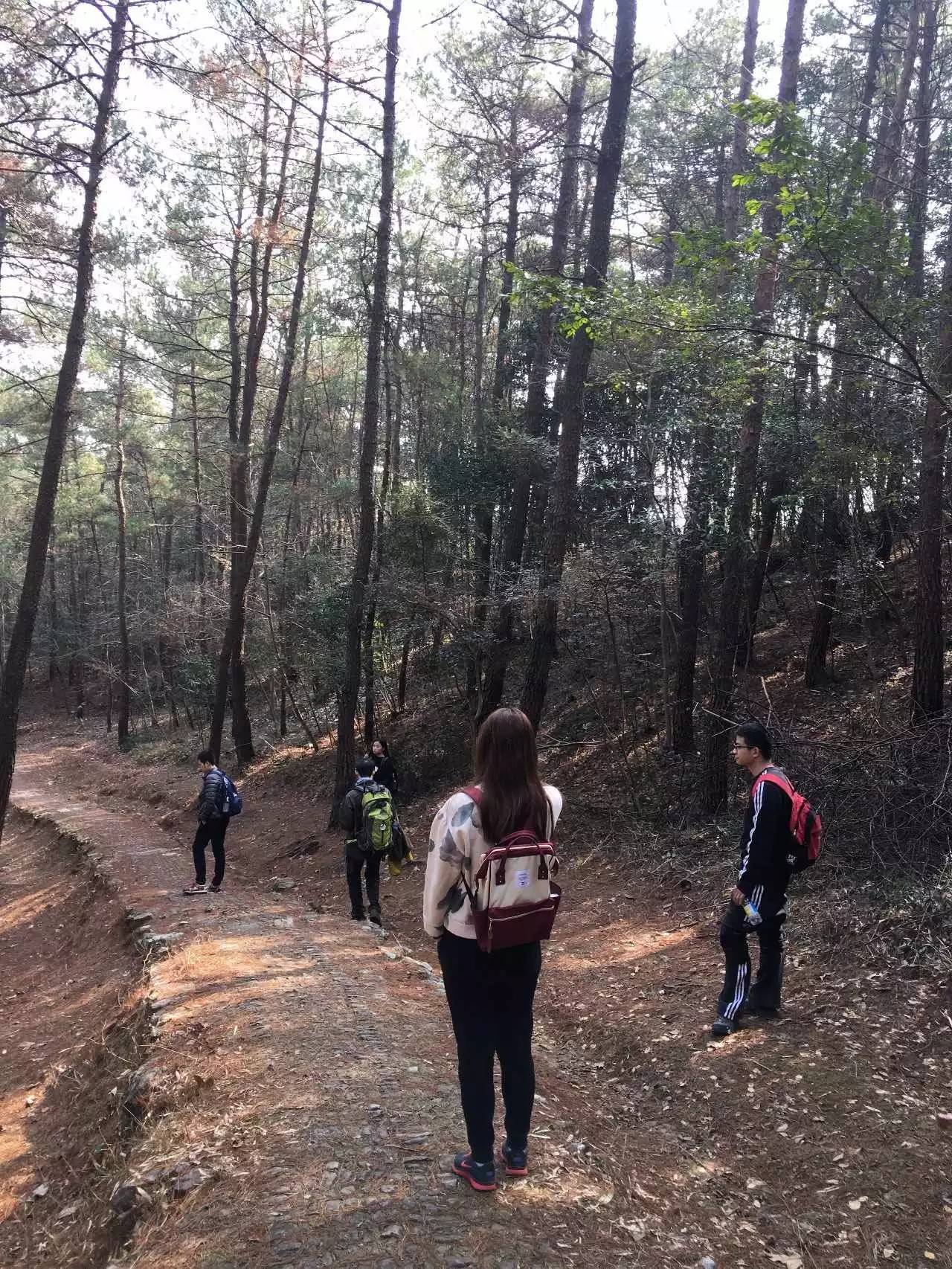 四明山最美自驾游路线雪窦寺,宁波雪窦山徒步攻略