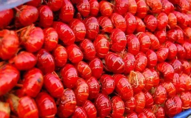 好看得不像实力派的虾贝勒，春晚和您聊聊小龙虾