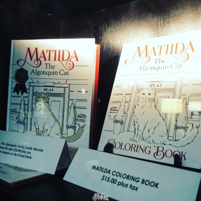 神会玩|XOXO，绯闻纽约的168小时享乐进行时