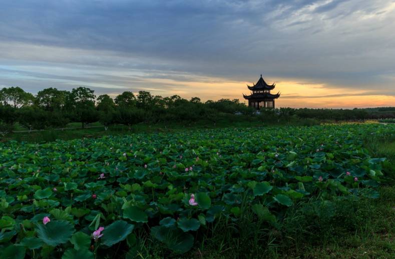 上海一日游必去的4个景点,上海必游的十大免费景点推荐一下