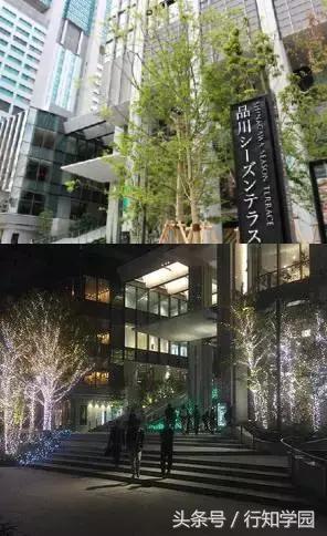 追着偶像的脚步,偶遇爱豆日剧