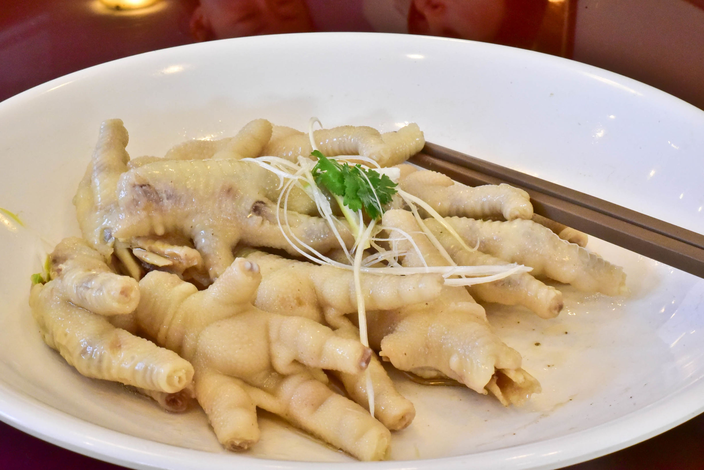 兔子游日本,兔子海边旅行记