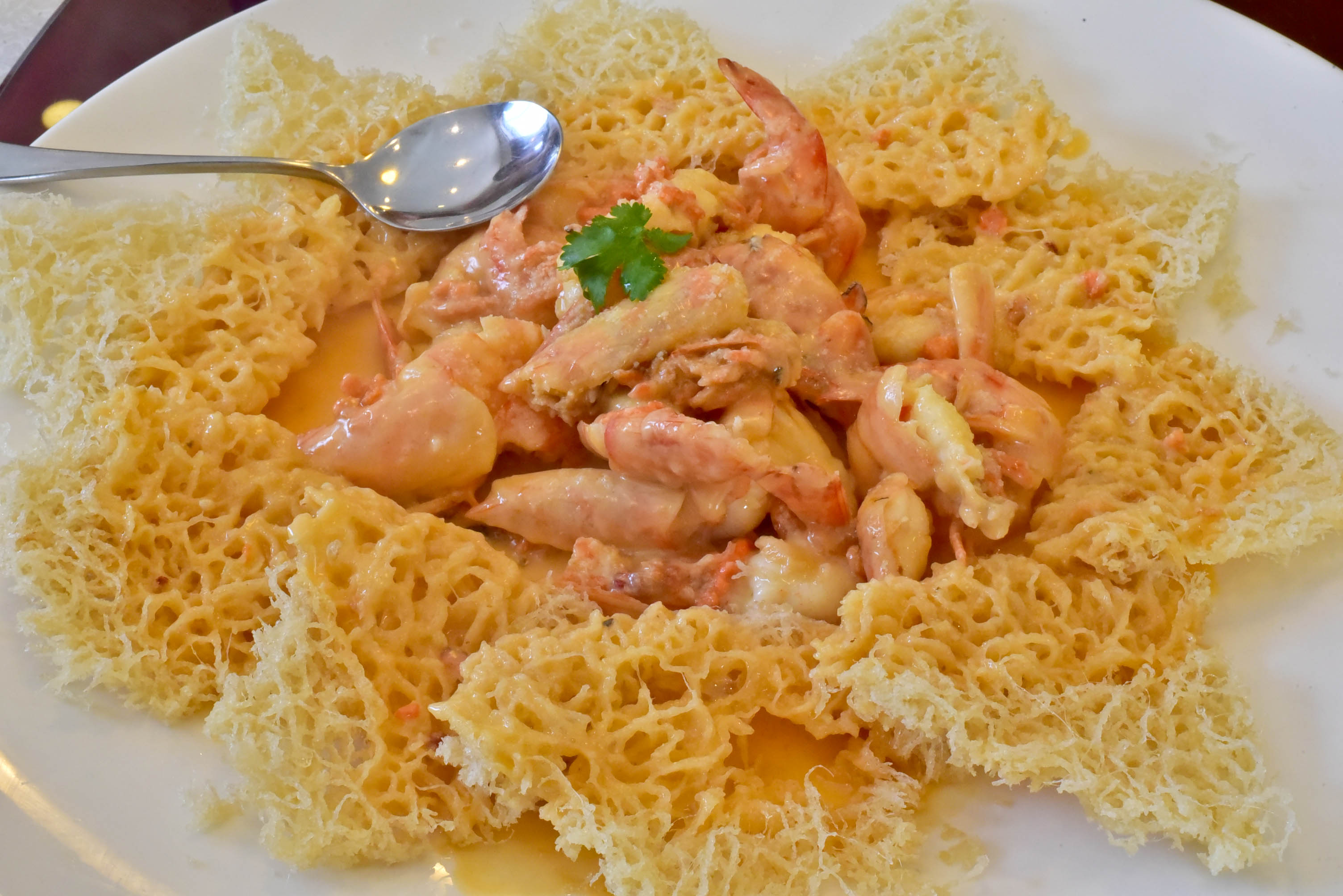 兔子游日本,兔子海边旅行记