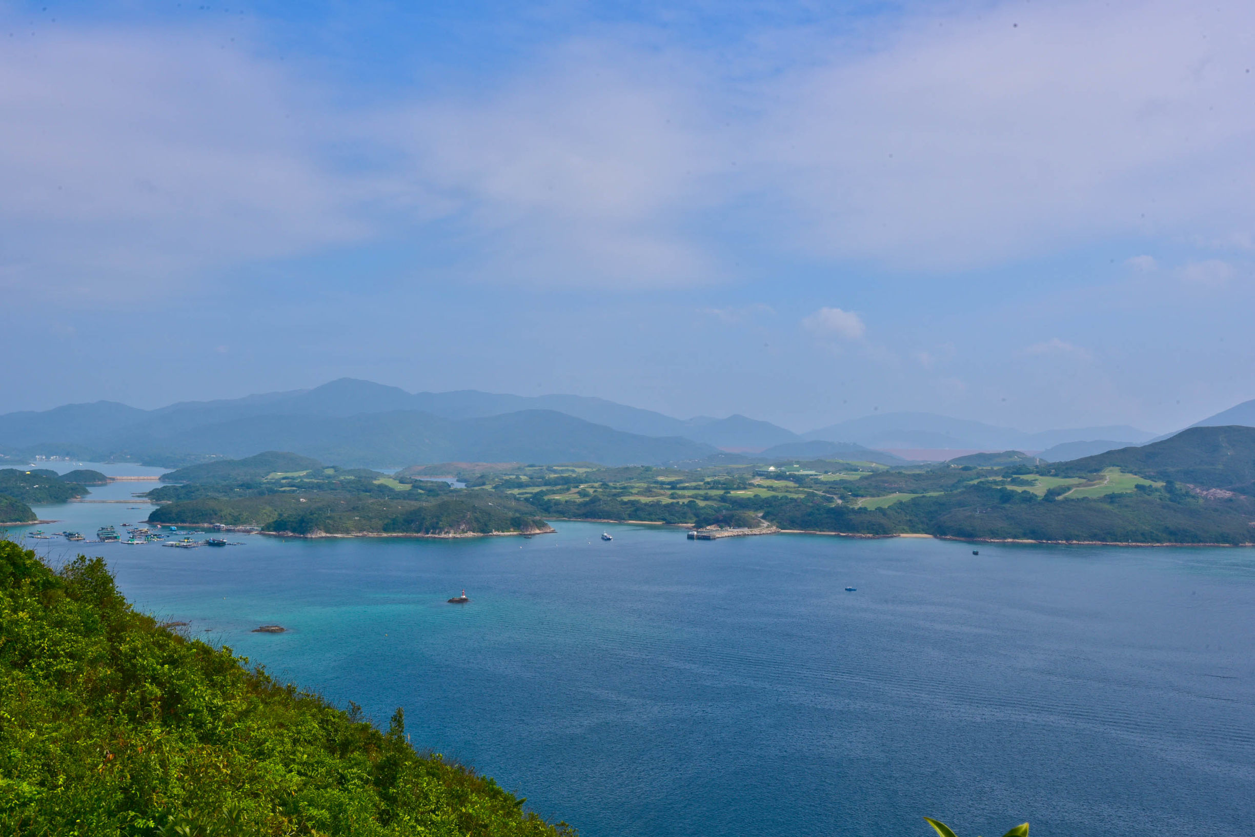 兔子游日本,兔子海边旅行记