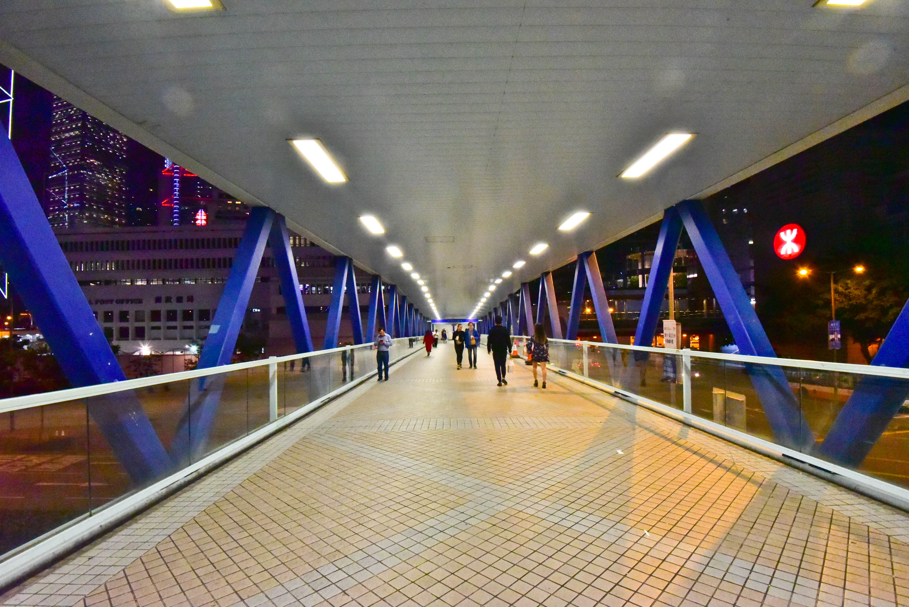 兔子游日本,兔子海边旅行记