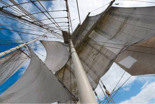 来自艺术的回响：须有作为