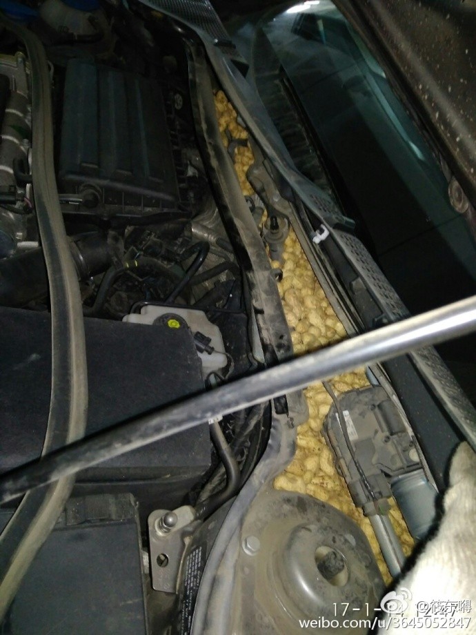 璀︽儠铏氬亣娓告垙,璀︽儠璇堥獥娓告垙