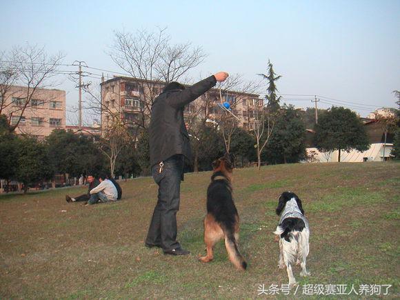 狗狗正确的洗澡步骤，附上爱犬照片