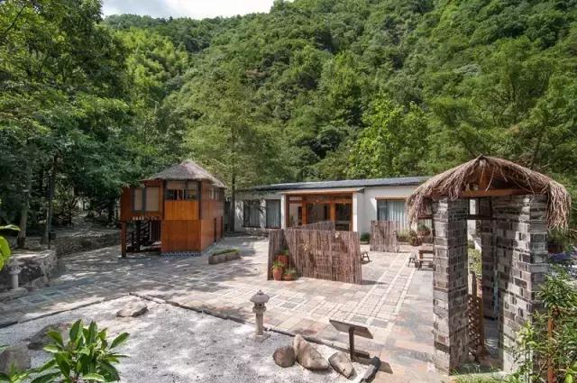 田螺姑娘在水里,水缸里的田螺姑娘