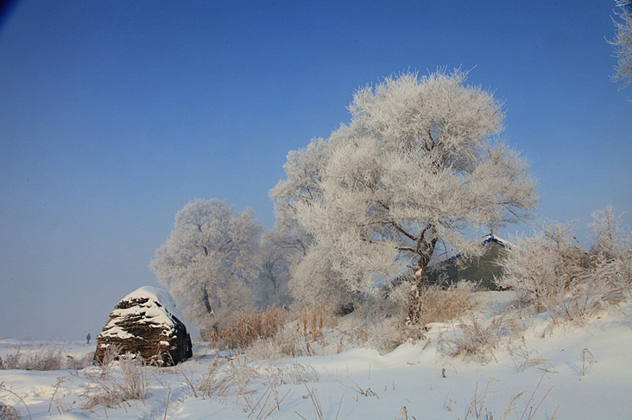 吉林雾凇岛的好看的雾凇倒影图片,吉林雾凇岛和雪谷雾凇岭