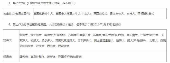 宠物托运流程宠物出行必备知识,带狗子回家过年宠物托运