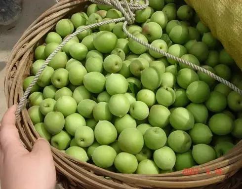 福建汀州土特产,福建零食特产有哪些