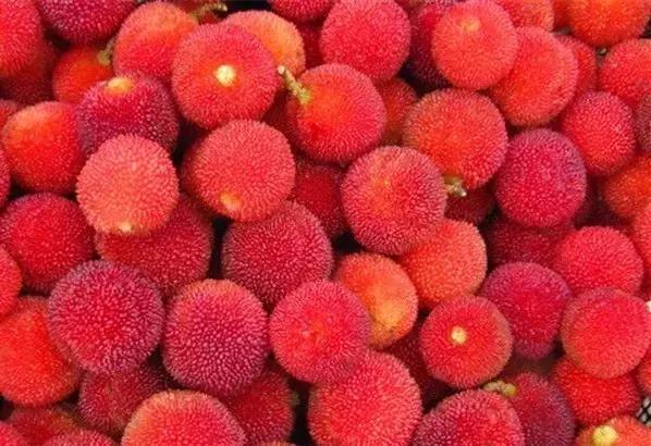 福建汀州土特产,福建零食特产有哪些