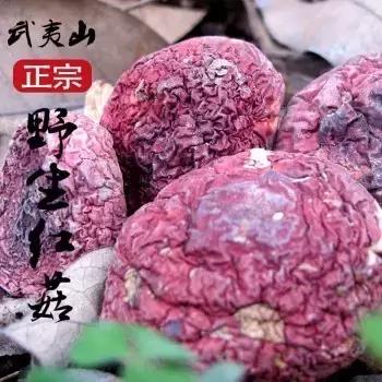 福建汀州土特产,福建零食特产有哪些