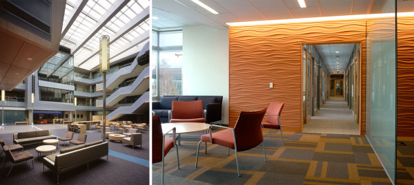 芬哥最新视频完整版,芬哥视频完整版