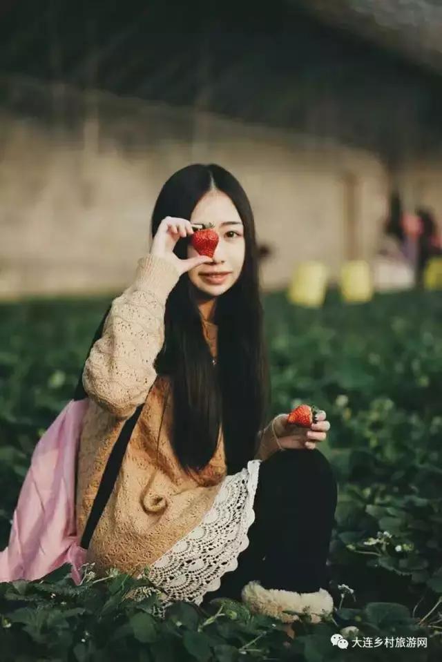 「话莓」之二：一颗草莓折射金普产业融合助力供给侧改革