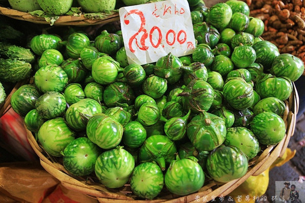 在外国街头演唱中国乐器,在外国街头演奏市集音乐