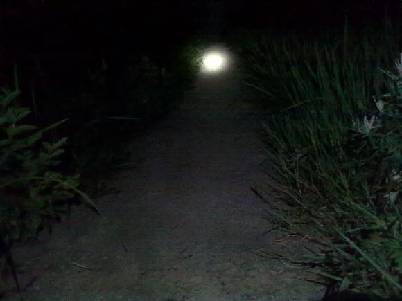 在农村钓鱼用什么虫子,农村钓鱼用什么饵料最好