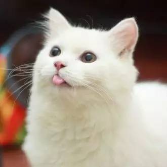 从微信头像能看出你的性格太准了,从微信头像看出一个人的性格神准