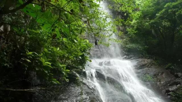 象州古象温泉度假酒店,古象温泉度假村酒店