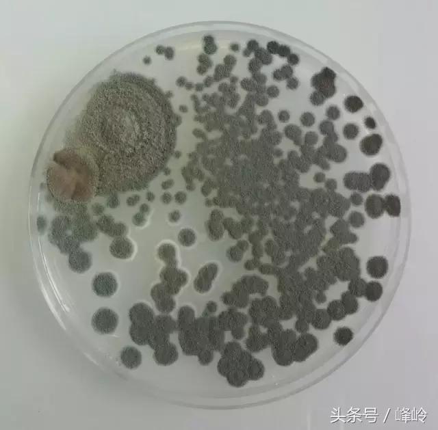 这款代购最火的儿童玩具，打开竟然全是霉菌！孩子天天在咬这个！