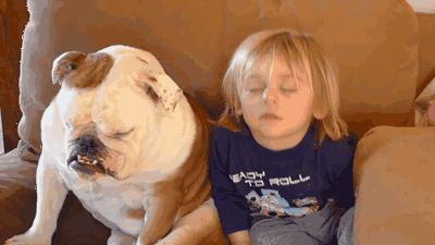 如何应对室友鼾声如雷,给室友道歉的正确打开方式