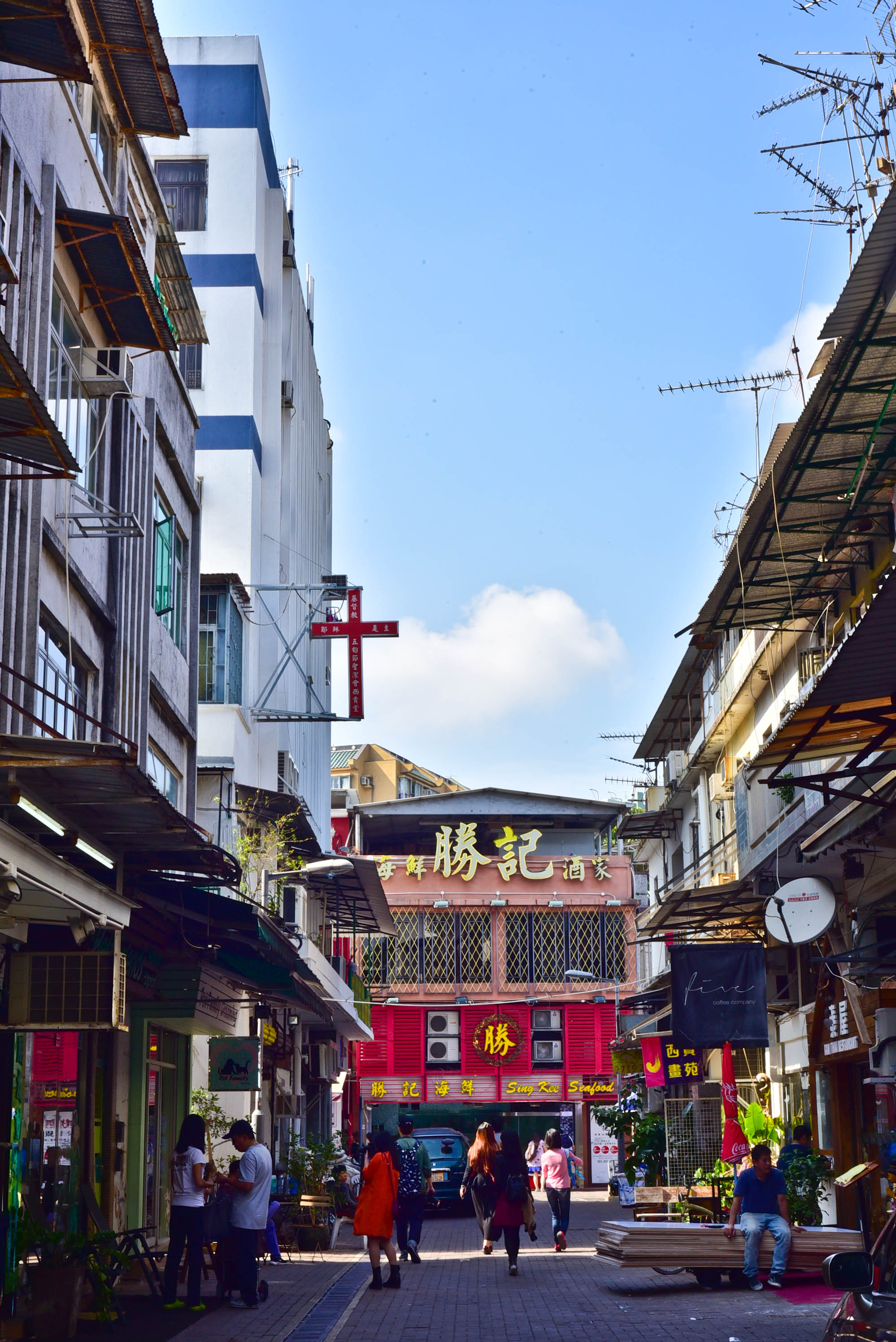 兔子游日本,兔子海边旅行记