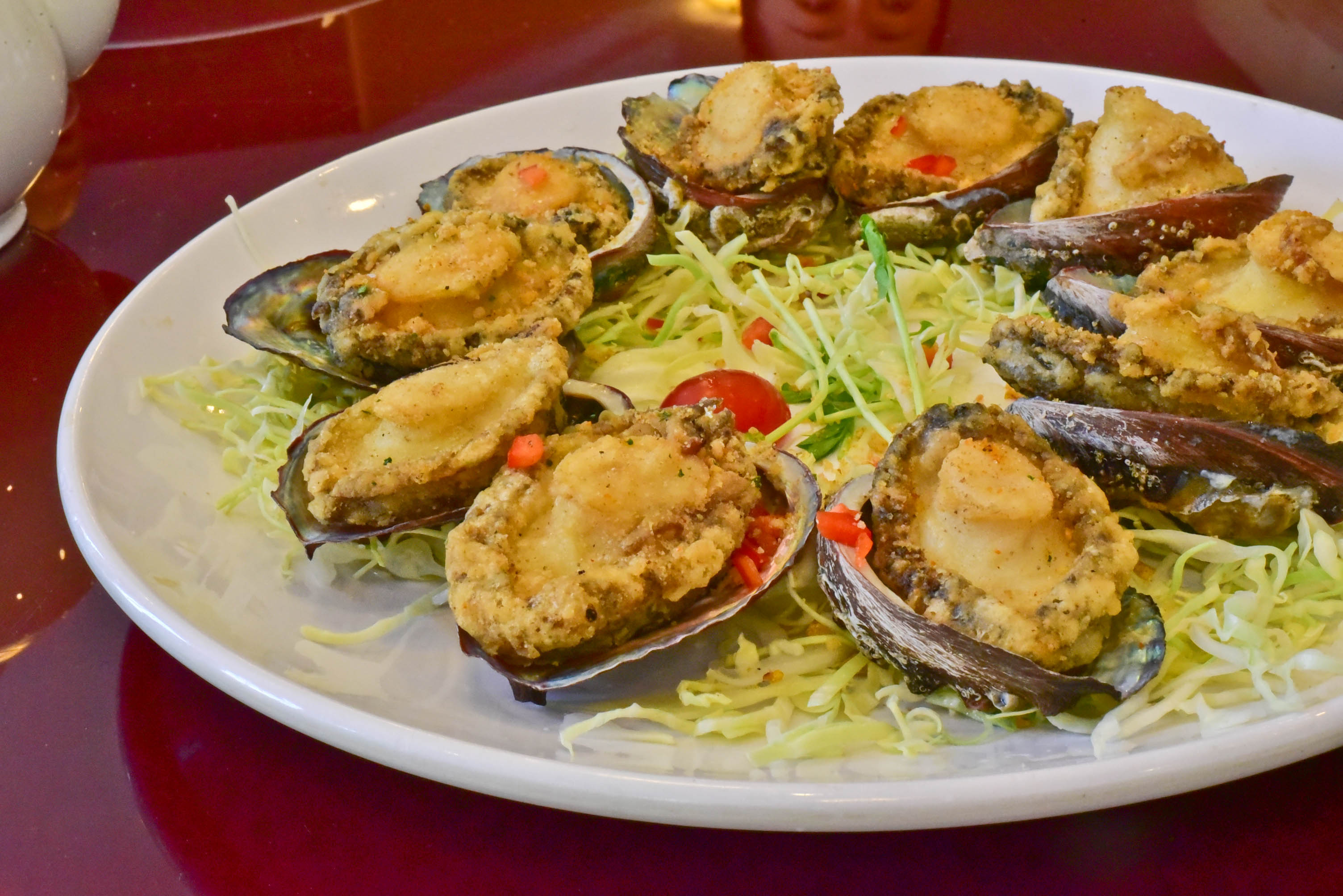 兔子游日本,兔子海边旅行记