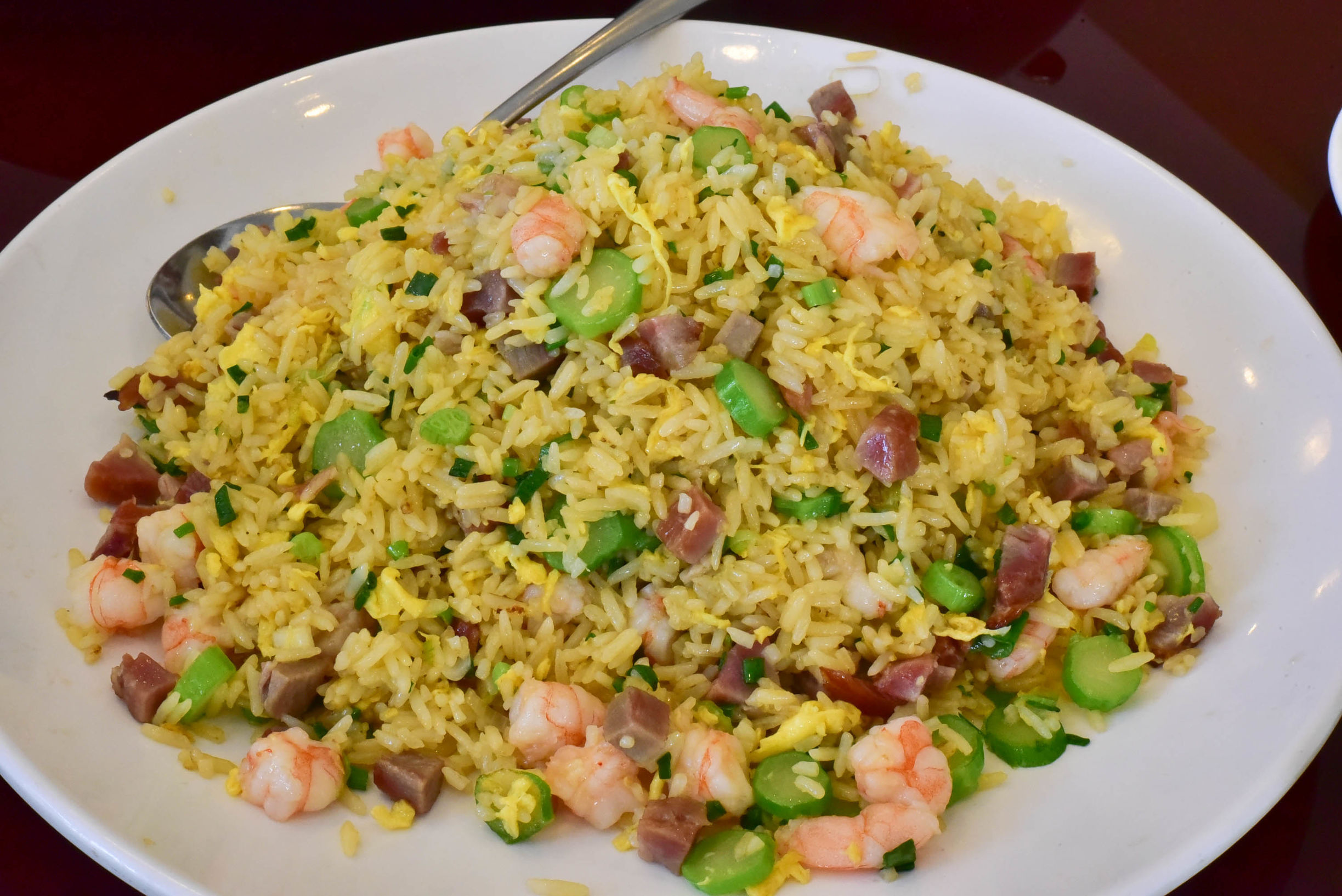 兔子游日本,兔子海边旅行记