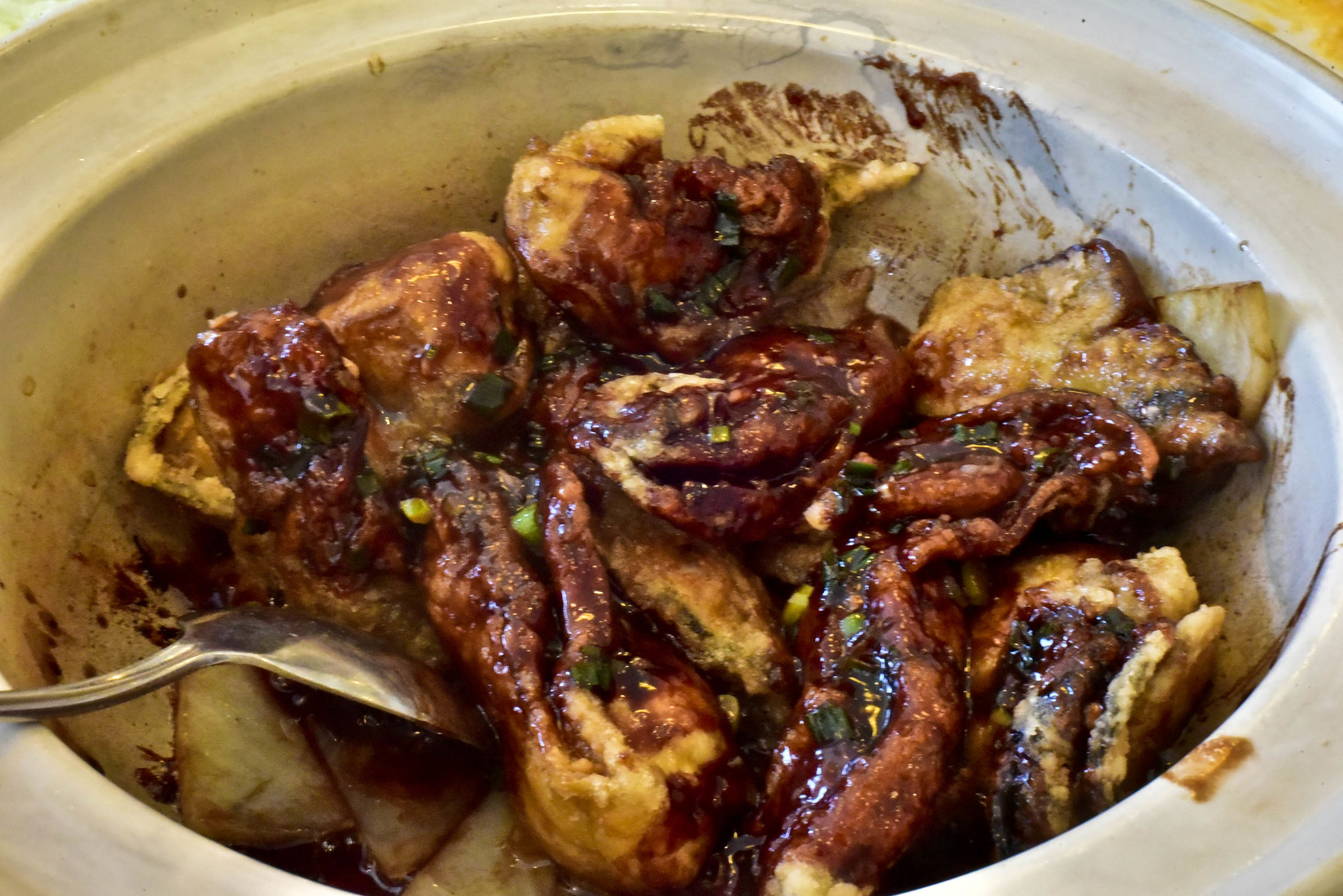 兔子游日本,兔子海边旅行记