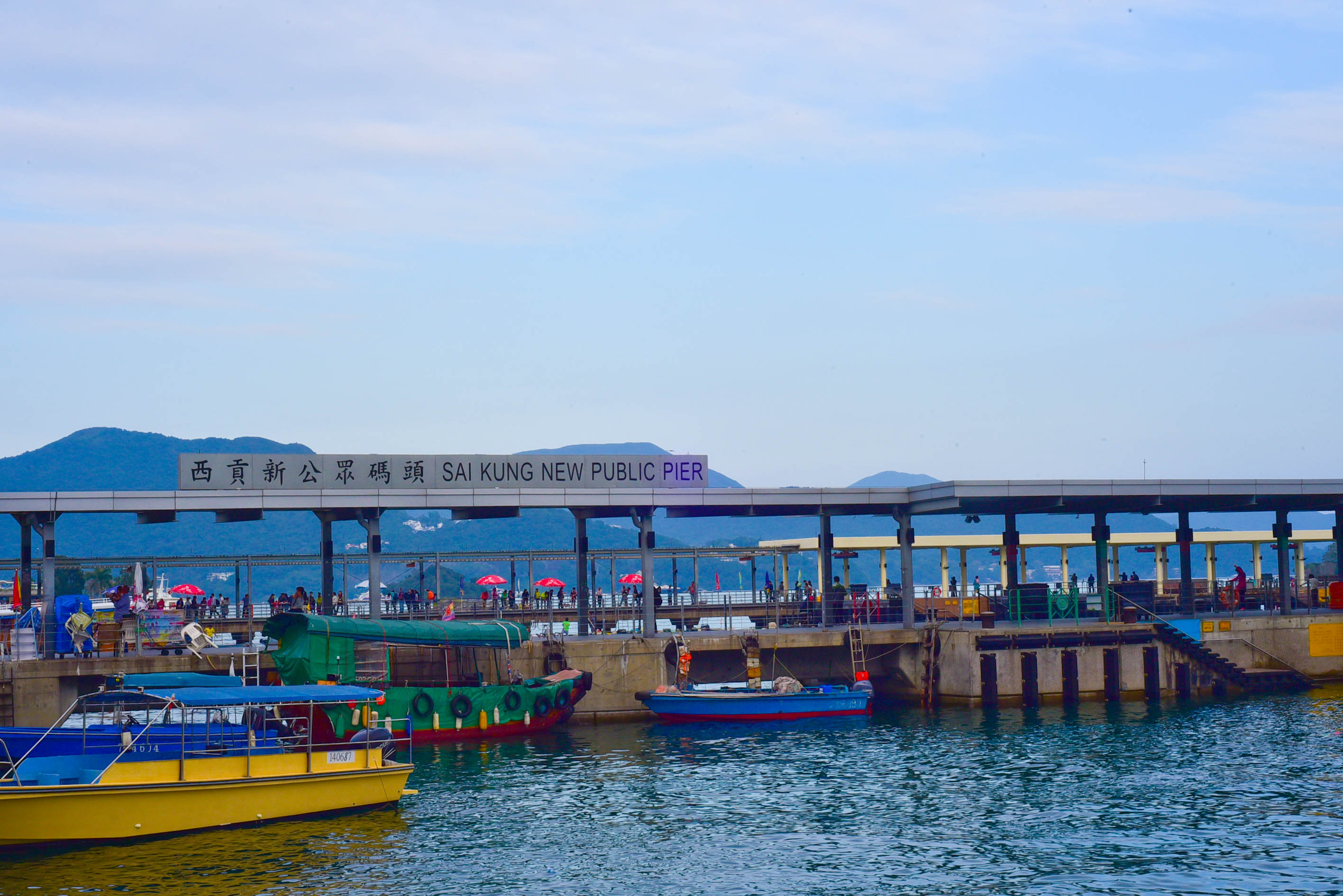 兔子游日本,兔子海边旅行记