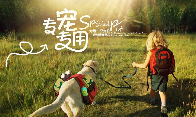 在西藏捡到流浪狗,捡到流浪狗怎么办家里养不了