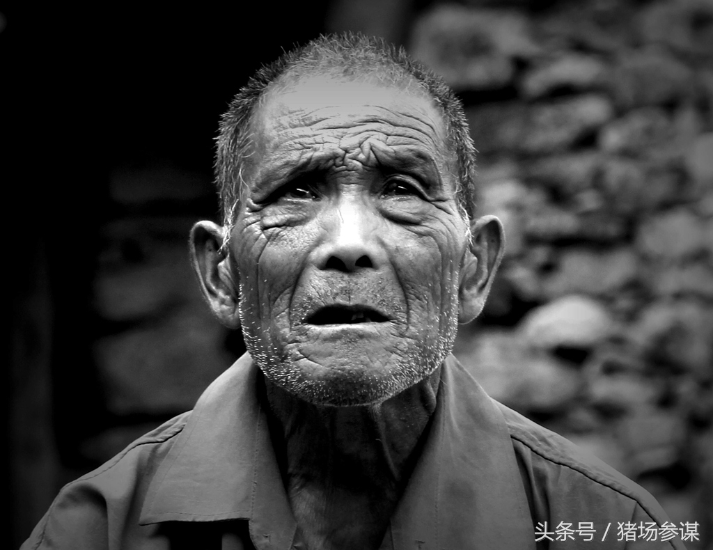 农村五保户申请怎么写,农村最新五保户申请条件