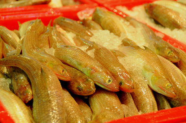 越南芽庄最新海鲜,实拍越南的海鲜集市