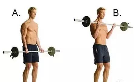 练出手臂,练出粗壮大手臂