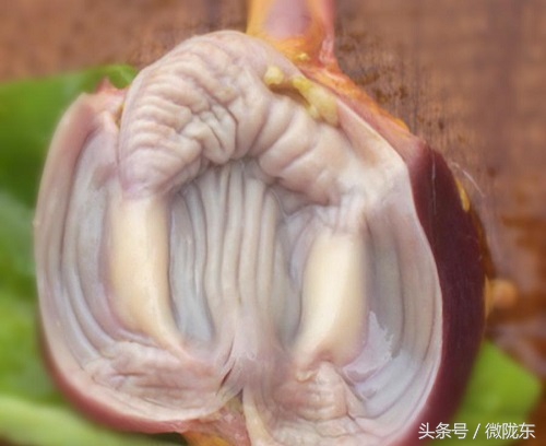 农村一个土鸡200元、有个部位能治小孩尿床