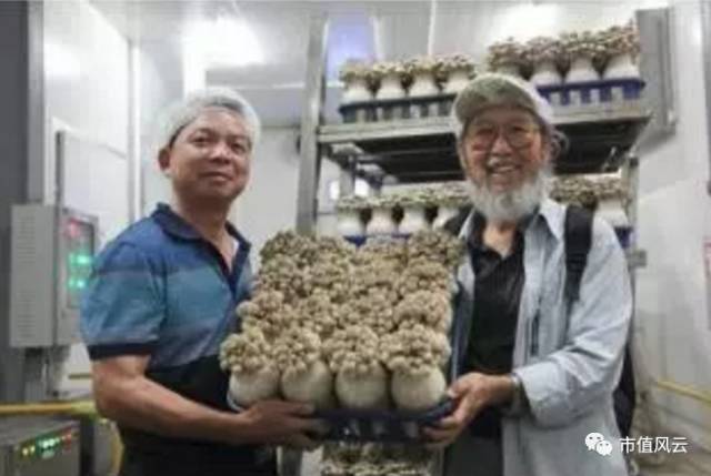 创业板借壳最新规定,创业板借壳最新规则