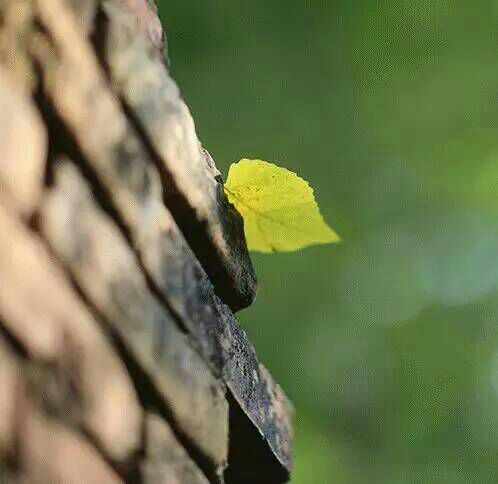 给摄影爱好者的十二条摄影经验,看完这组摄影作品你还淡定吗