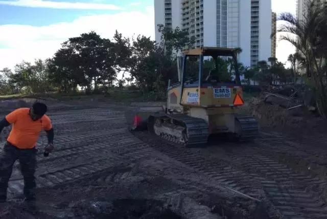 佛州棕榈滩,佛州棕榈滩威尔尼斯