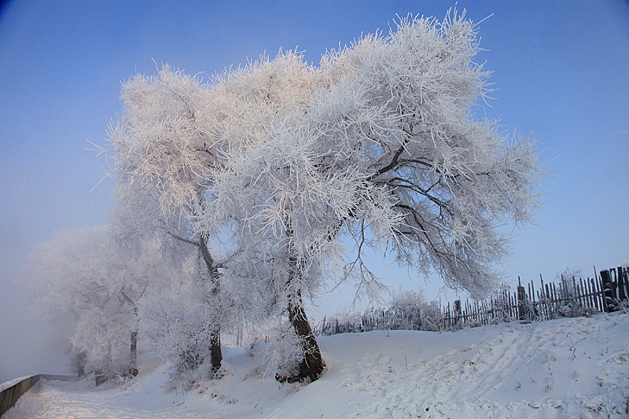 吉林雾凇岛的好看的雾凇倒影图片,吉林雾凇岛和雪谷雾凇岭