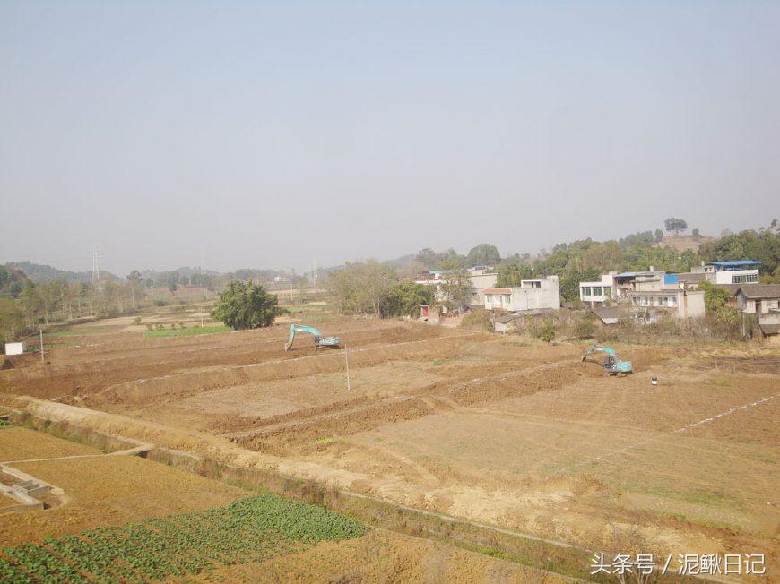 养泥鳅十大风险有哪些,养殖泥鳅十养九亏