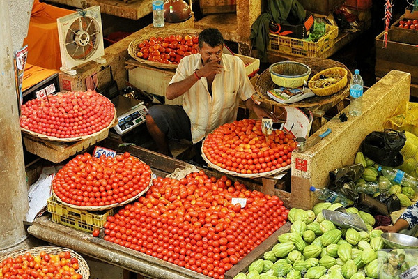 在外国街头演唱中国乐器,在外国街头演奏市集音乐