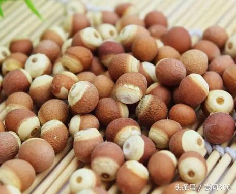 除湿气食物薏米与什么结合最佳,薏米祛湿气最快方法