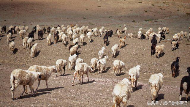 摩洛哥不被坑攻略,摩洛哥现状及问题