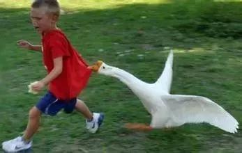 令老外震惊的中国春运,外国人眼里中国春运到底有多震撼